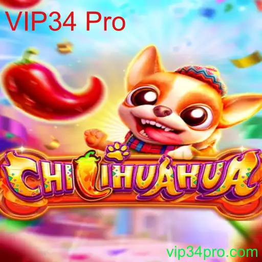 Descubra as Regras e a Dinâmica do Jogo CHILIHUAHUA